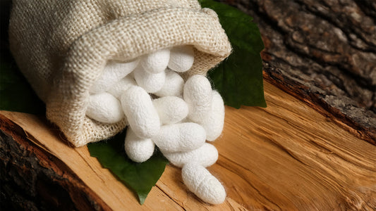 What Is Mulberry Silk?